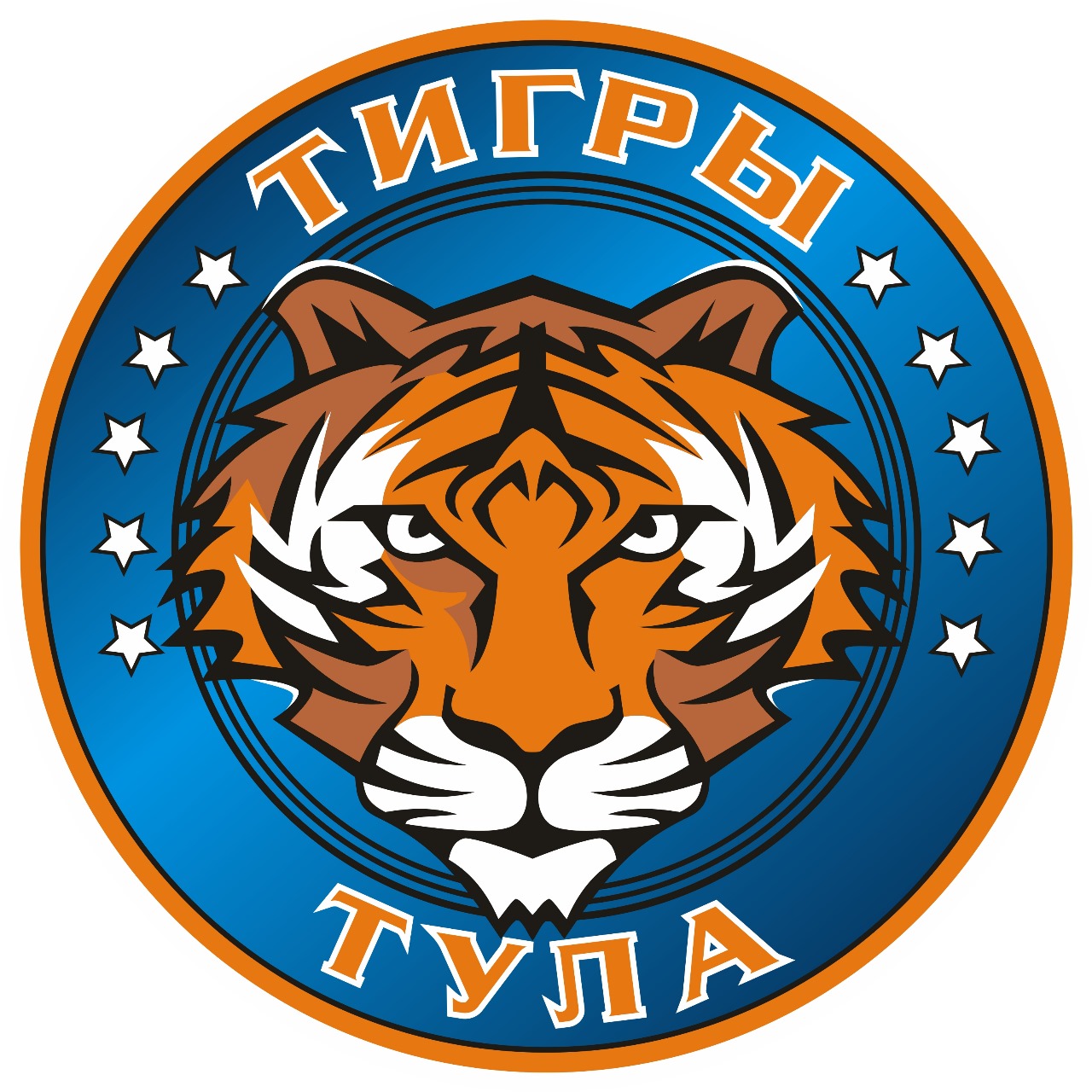  Тигры logo